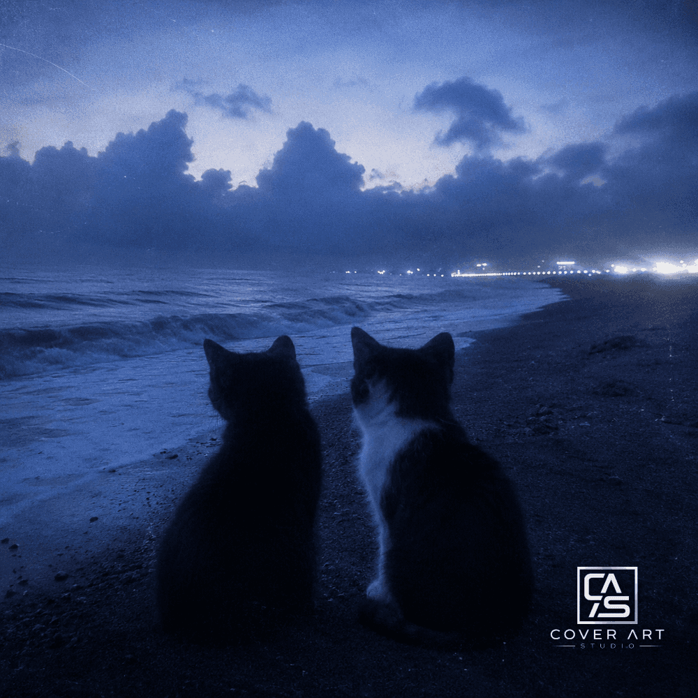 Shoreline Lovers — premium pop cover art 3000×3000 HD
